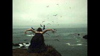 Luke Slater - She showed me heaven (Radial remix)