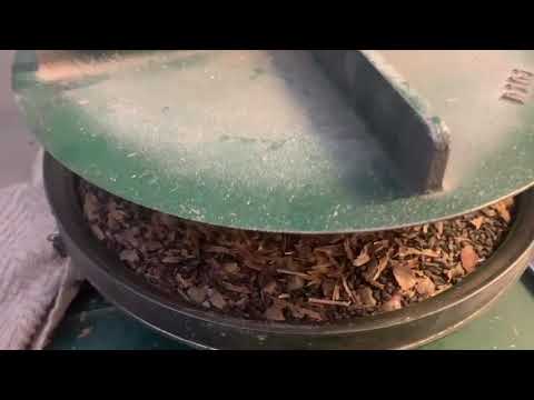 The Green Legacy | Seed Processing - Norway Spruce