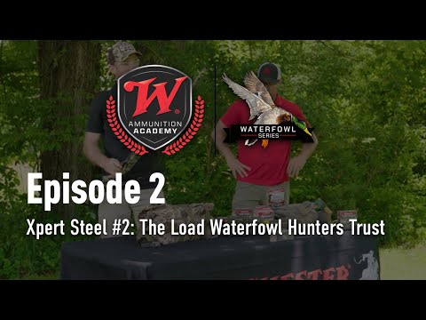 DryLok Super Steel | Proven Ammo for Duck Hunters | Winchester Ammunition