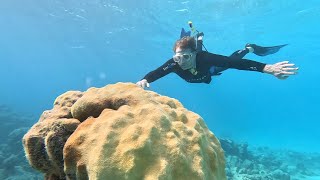 Bahamas - The Disappearing Islands: On Assignment | ITV News