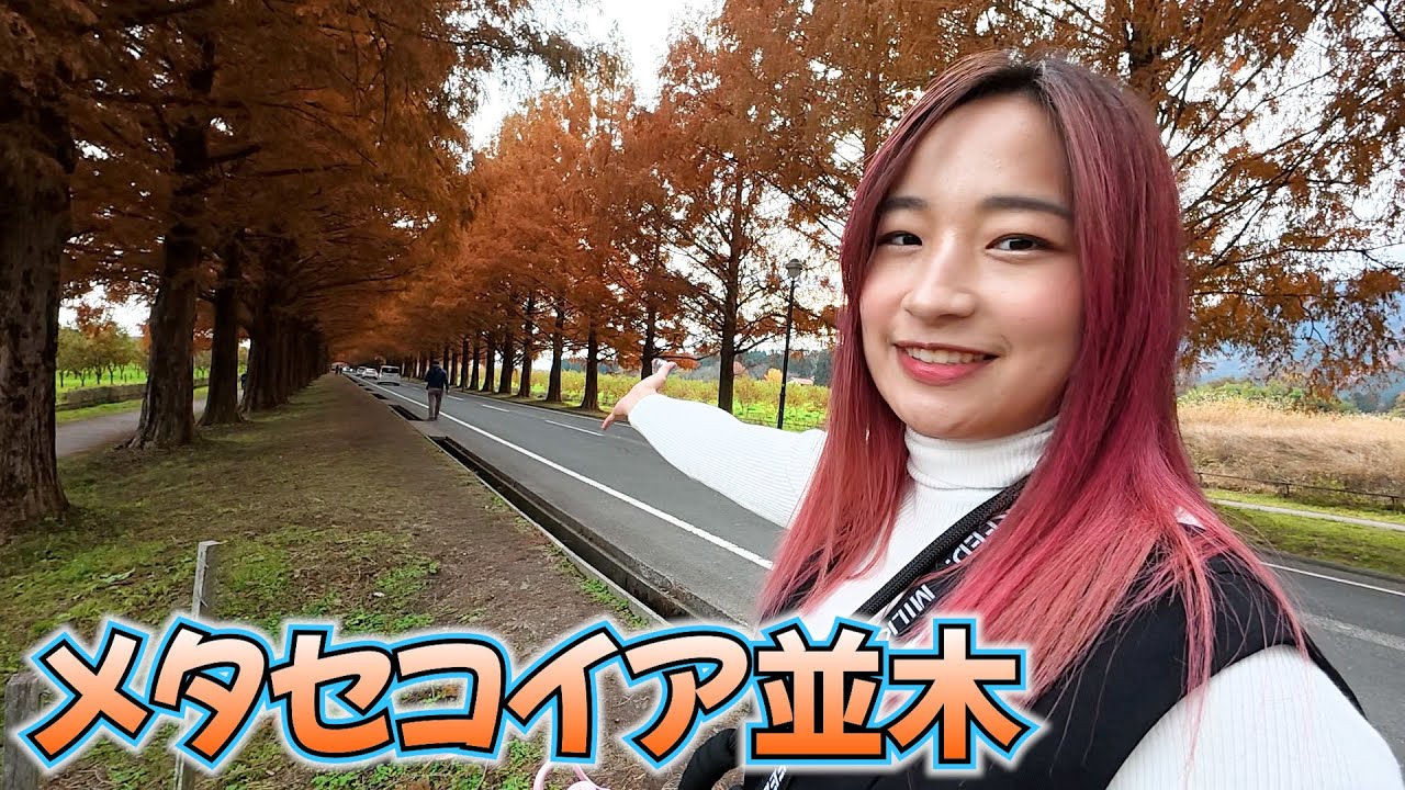 今年もありがとうございました！メタセコイアで来年の目標を語る！