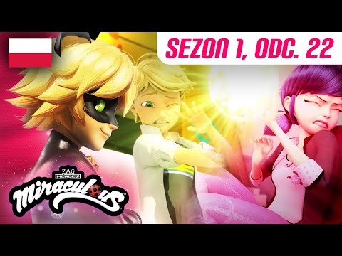 🐞 POCZĄTKI: CZĘŚĆ 1 – Cały Odcinek PO POLSKU 🇵🇱🐾 | Sezon 1 Odc. 22 ▶️ | Biedronka i Czarny Kot