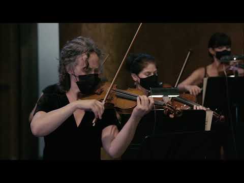 J.S. Bach - Concerto for two violins in D minor, BWV 1043 / Concerto pour deux violons en ré mineur