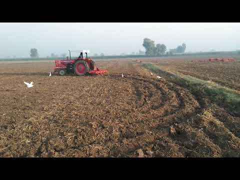 new chizal 385 22 modal sandhu farm 40 eb alo ki bajayai