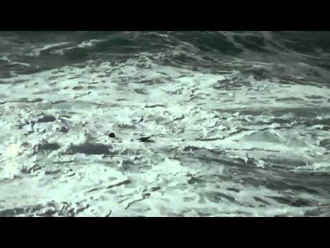 Glen Sullivan Kiama Bommie