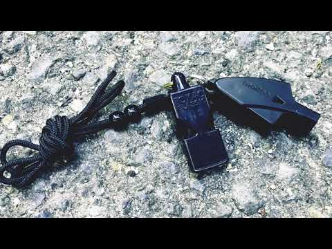 molten DOLFIN F WHISTLE Soccer-only tuning × Forest