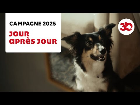 Day after day – 30 Million Friends Foundation 2025 campaign against animal abuse