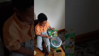 News about my caterpillars to butterflies growing kit