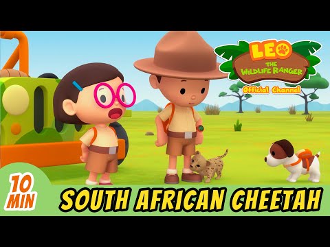 Witness21 Editor  2021 12 01