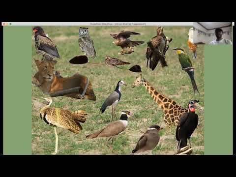 African Birding Destinations Session 1