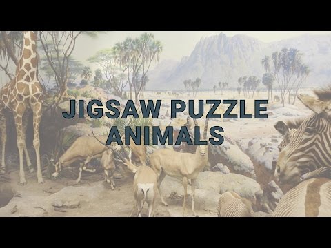 Jigsaw Puzzle: Animals Video
