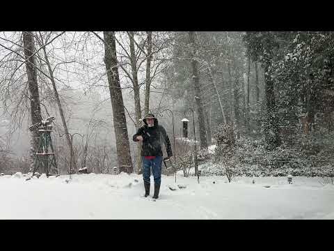 2021 12 26 Feed Birds In Snow