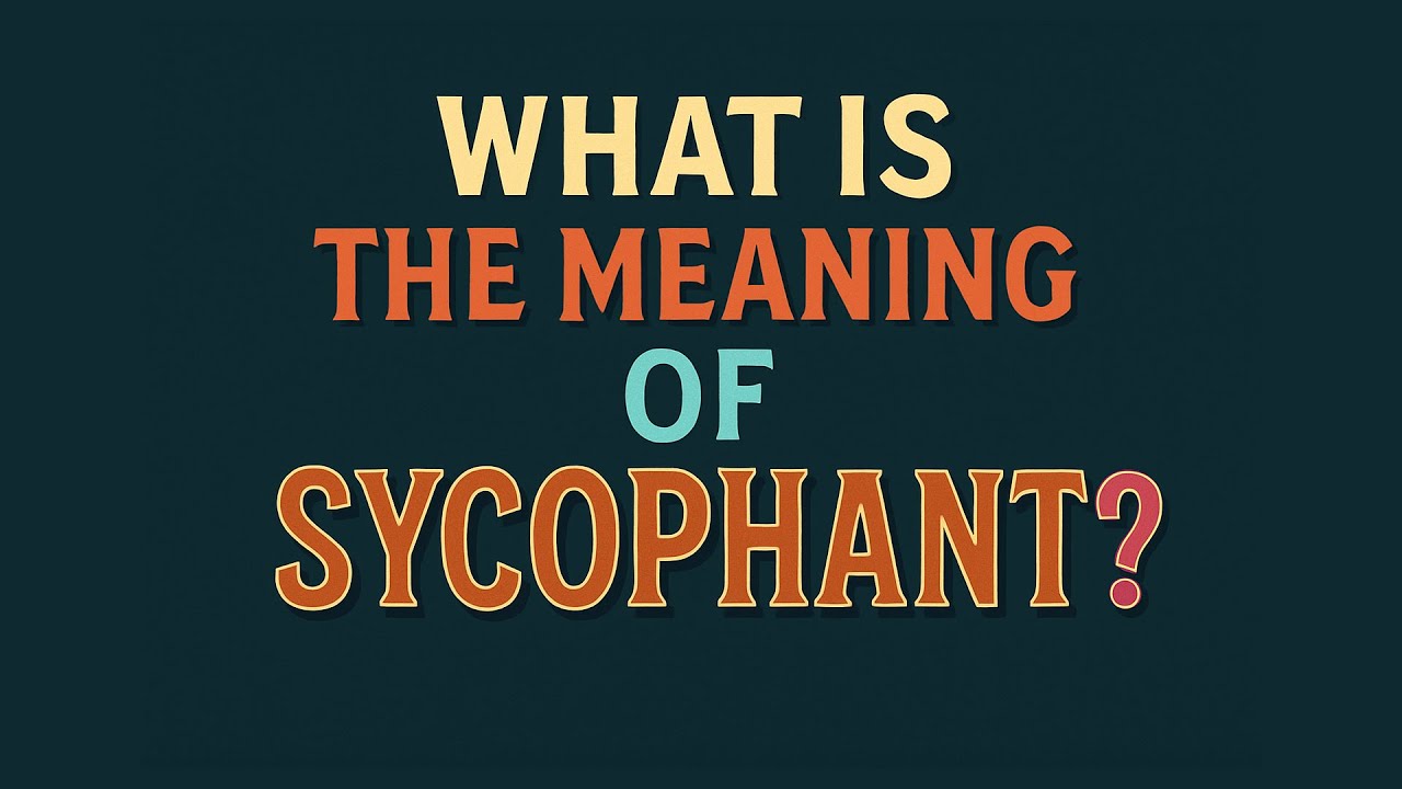 What is the meaning of Sycophant?