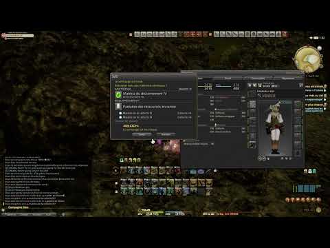 FFXIV - Advanced melding