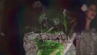 Ani Cordero "Volver a Los 17" (Violeta Parra)