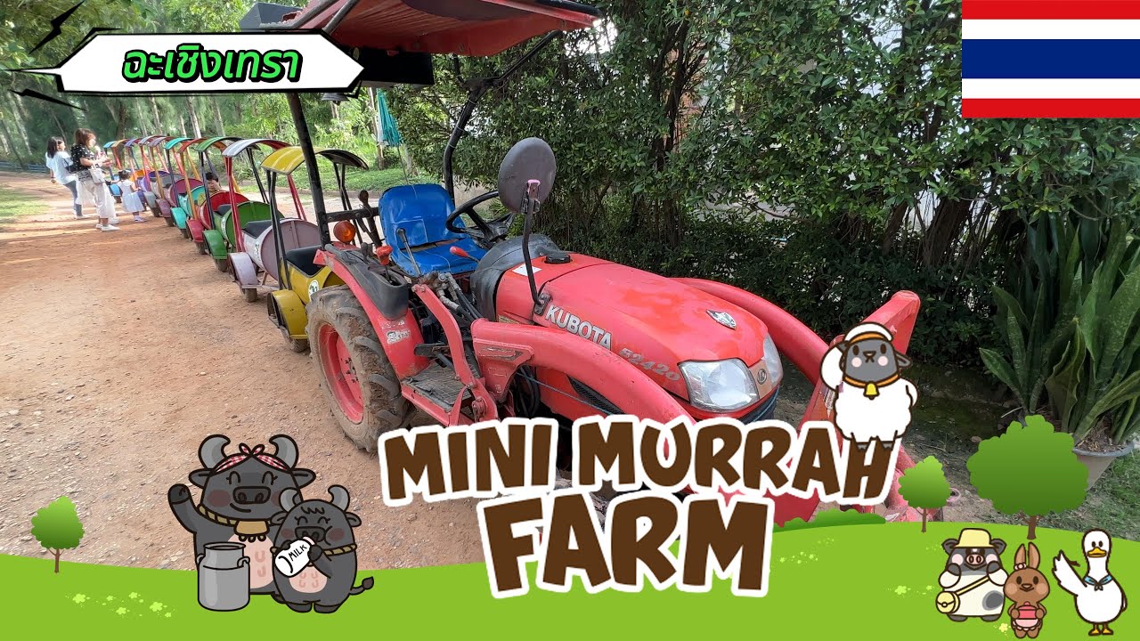Murrah Farm