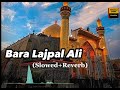 Bara Lajpal Ali Qaseeda | Everyday 🎧 Slow+Reverb | Muhammad Ibrahim Kumbher #trending #islamic