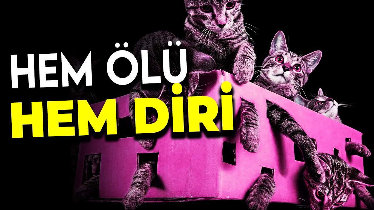 Kuantum Yorumları: Schrödinger'in Kedisini Nasıl Açıklarız?