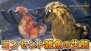 最強のコンセント雑魚『ラフマー』の生態【モンハンワイルズ】