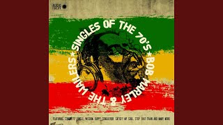 Stop the Train (feat. Peter Tosh - vocal)