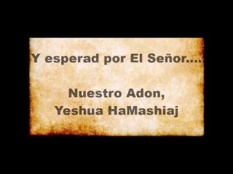 El Centinela - Paul Wilbur