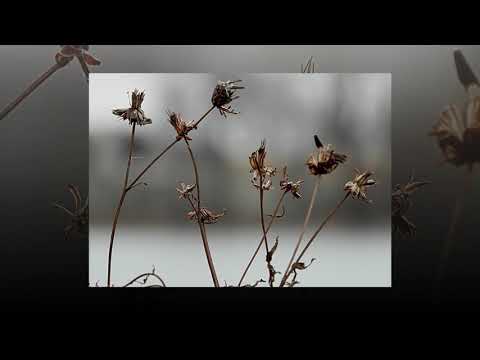 Day in pictures 11-28-2018