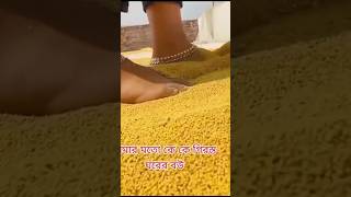 Download lagu আমার ময়না টিয়া আগুন মাসে ধানতুলিয়া করমু তোমায় বিয়া #cs_tv টিকটক ভিডিও সুবল mp3 Download lagu আমার ময়না টিয়া আগুন মাসে ধানতুলিয়া করমু তোমায় বিয়া #cs_tv টিকটক ভিডিও সুবল mp3
