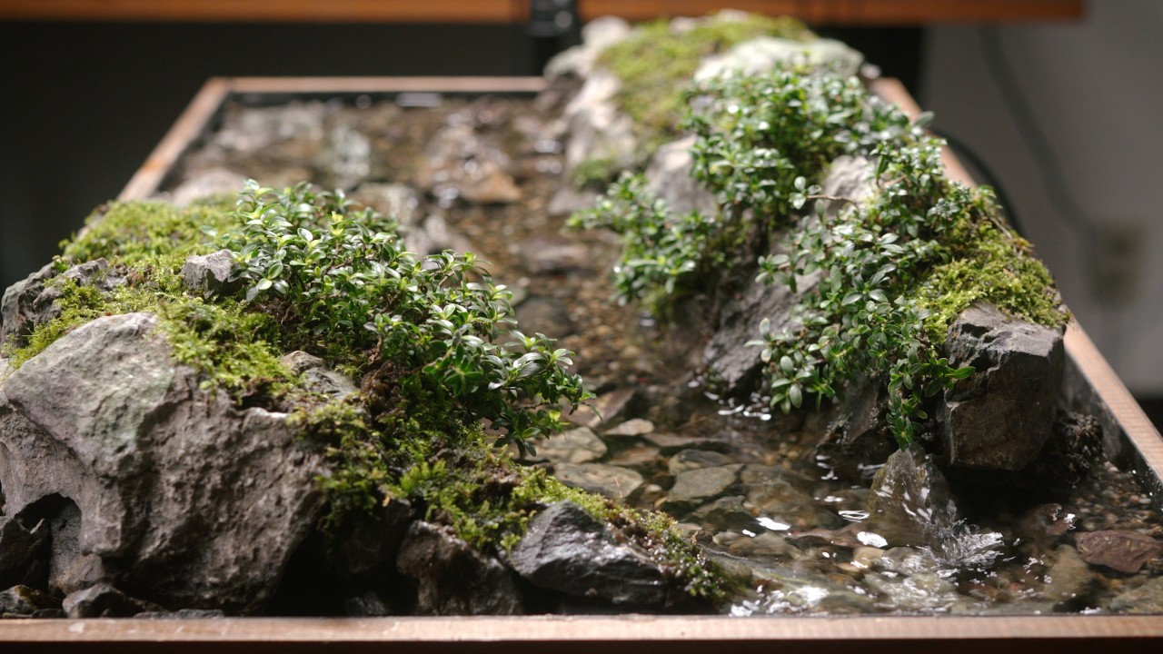 Creating a Tiny Valley