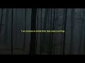 Sky Woods I Tried My Best Official Lyric Video