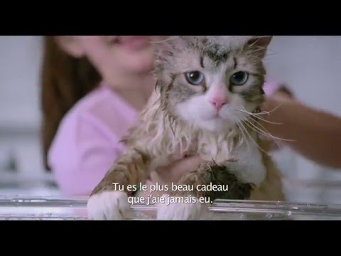 Les neuf vies de Mr. Fuzzypants -  trailer VOST