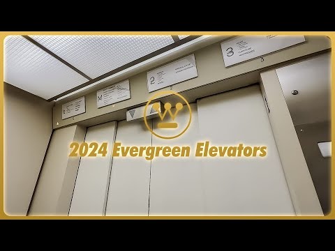 Problematic & Temperamental Westinghouse Traction Elevator | Macy's, Westfield SC | Seattle, WA.