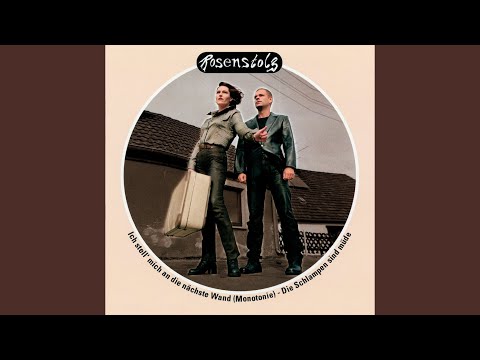 Die Schlampen sind müde (Radio Edit / Remastered Version)