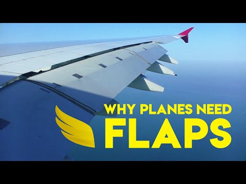 image-What are flaps in aircraft?