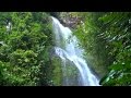 Northern Nicaragua - natural beauty: landscapes, fauna & flora