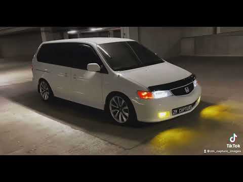 Lowered Odyssey