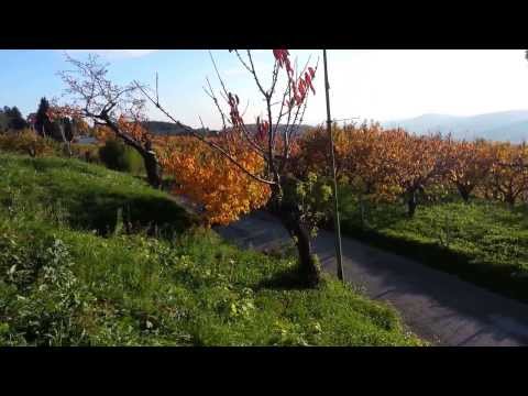 31 rally due valli P.S. 6 "Marcemigo"