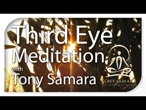 15 minute third eye meditation with Tony Samara