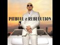 Pitbull featuring Akon - Shut It Down
