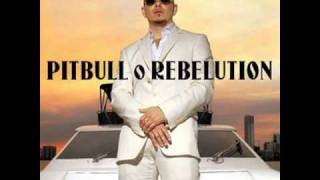 Pitbull Feat. Akon - Shut It Down