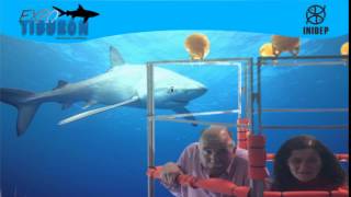 DIA 3 Expo Tiburon170