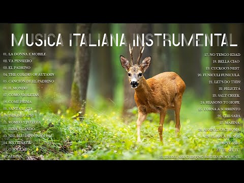 BELLISIMAS MELODIAS INMORTALES A GRAN ORQUESTA - 3 HORAS de la Mejor Música Clásica