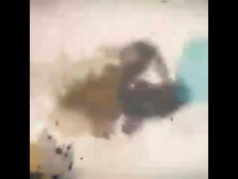 Dakwah para nabi dan rasul inti ust firanda andirja MA