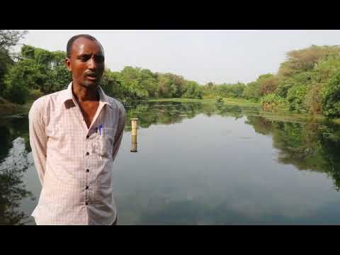 Interview with Tesfaye Dejene, CoWASH beneficiary