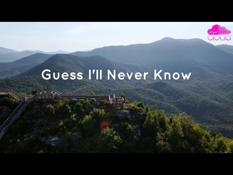 Guess I'll Never Know - Track Tribe (50und Cloud Official)