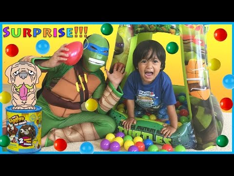 SURPRISE TOYS Challenge in Ball Pit with Ryan ToysReview Video