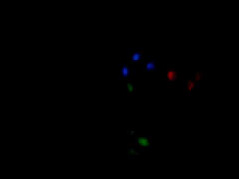 Eigenheim Records @ Szene Treff Köthen 13.11.2009 part3