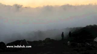 Pink Life - Gyskard - www.indishub.com