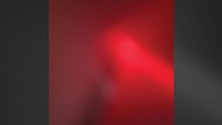 Meat Wave - &quot;Leopard Print Jet Ski&quot; + &quot;Bad Man&quot;