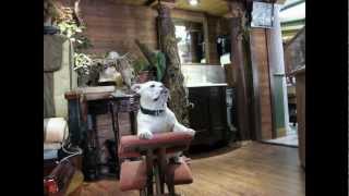 preview picture of video 'Ruidoso Rendezvous Reflexology, Nail Spa & Gift Shop | Ruidoso Massage'