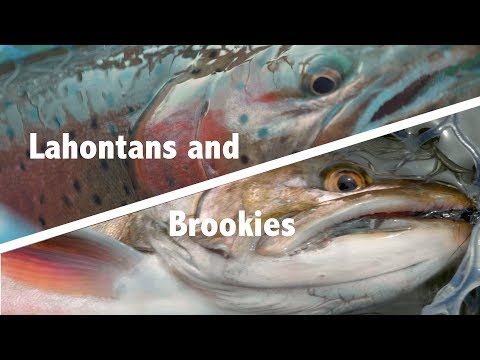 Lahontans and Brookies | Fly fishing Short Film